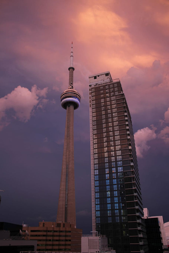 Love Your City: Toronto, by Avery Guerin